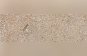 Rum Beige Limestone