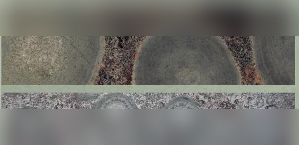 Ruskiavuori Orbicular Granite