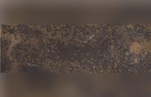 Rusty Manchu Caviar Limestone