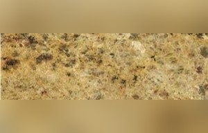 Sahara Golden Granite