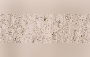 Sahara Pearl Limestone