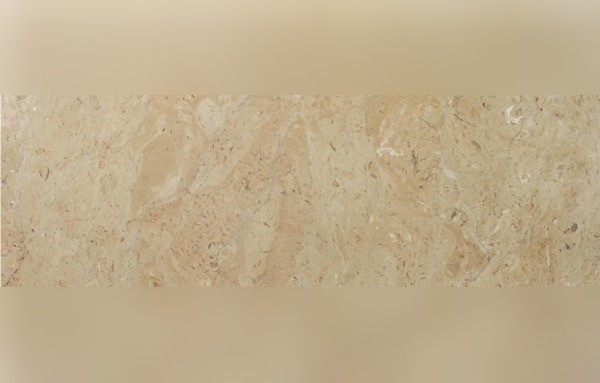 Sahara Somon Limestone