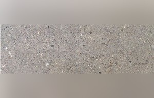 Saint Louis Limestone