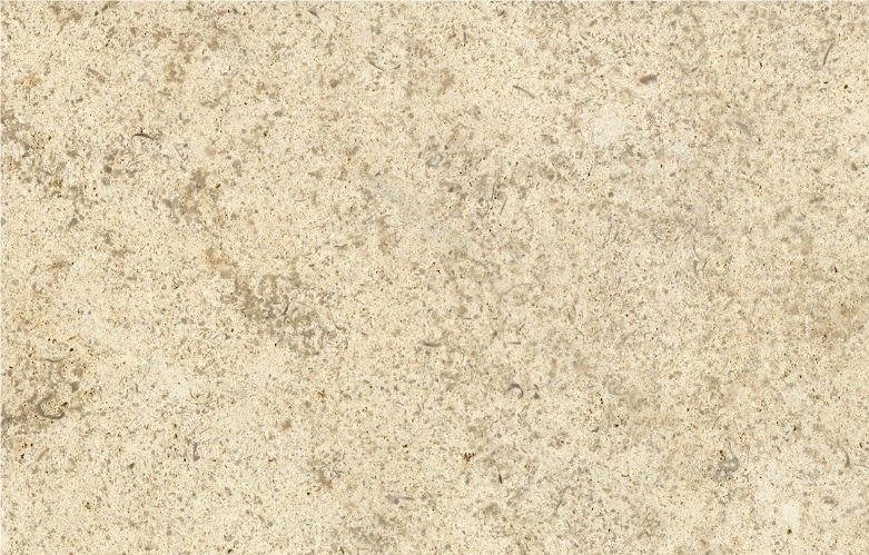 Saint Marc Limestone