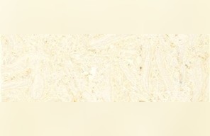 Samaha Marble