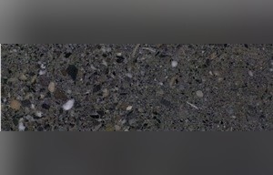 San Vicente Limestone