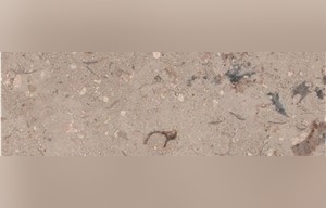 Sandy Creek Limestone