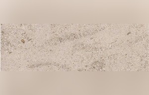 Santenoy Limestone
