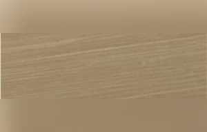 Saturninus Quartzite