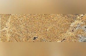 Savannah Ivory Granite