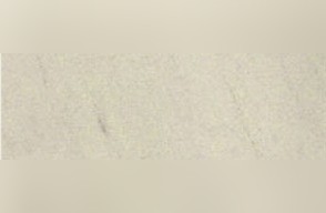 Schoenbacher Sandstone