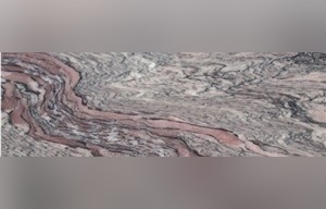 Scorpion Brown Marble