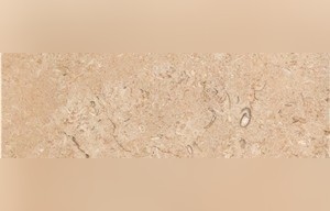 Seabed Gold Limestone