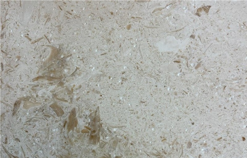 Seashell Limestone
