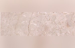 Seashell Marble