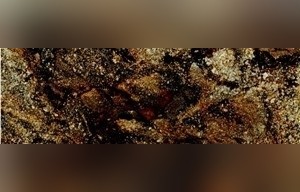 Sedna Gold Granite