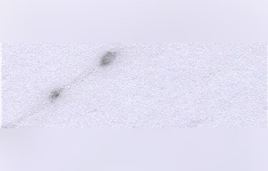 Shaanxi Crystal White Marble