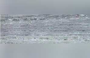 Shamrock Granite