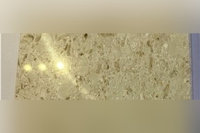 Shell Beige Limestone