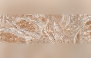 Shell Reef Limestone