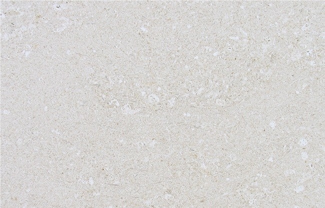 Siena Limestone