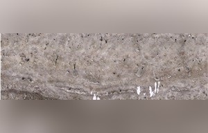 Siena Silver Travertine
