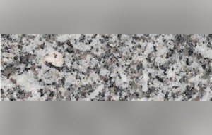 Silver Fish Granite