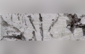 Silver Fox Granite