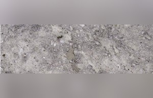 Silver Fox Limestone