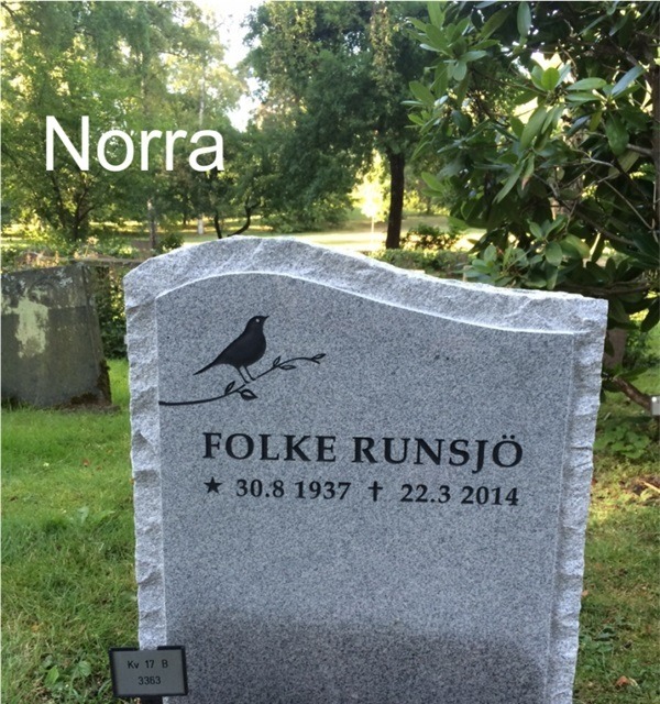 Silver Gra Bohus Granite