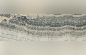 Silver Onyx