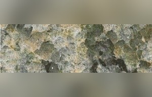 Silver Sea Green Granite