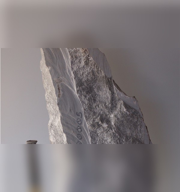 Silvercloud Alabaster