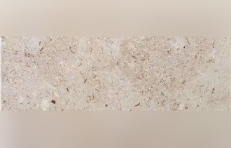 Sinai Pearl Limestone