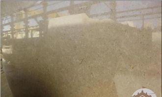 Sinai Pearl Limestone