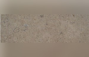 Sinai Pearl Marble