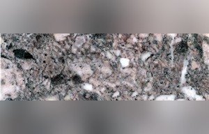Skyros Sea Shells Marble