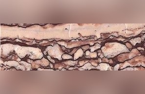 Snake Red Granite