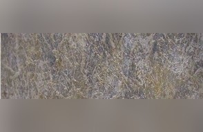 Snake Skin Granite