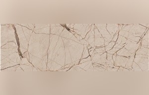 Spider Beige Marble