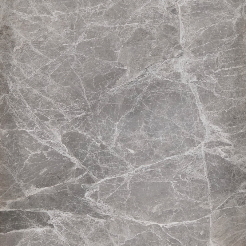 Spider Grey