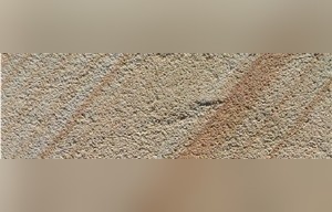 Spisske Sandstone
