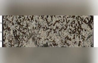 Splendor White Granite