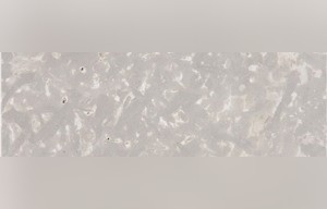 St. Mary Cream Limestone