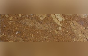Star Gold Marble