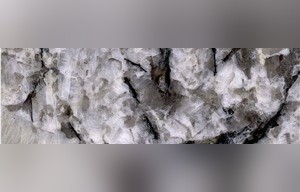 Star White Granite