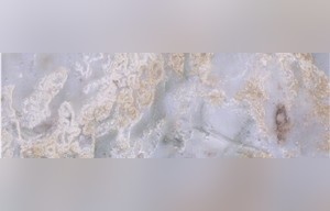 Stellar White Marble
