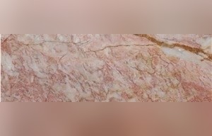 Stoneycombe Limestone