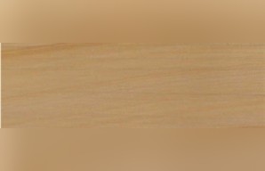 Stringybark Sandstone