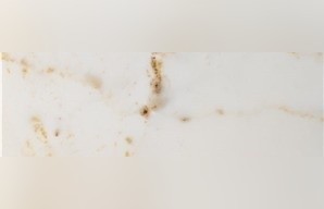 Sugar White Marble